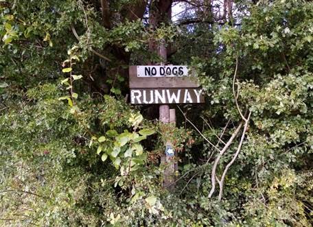 No Dogs - Runway sign